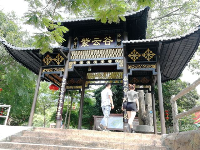 紫云谷