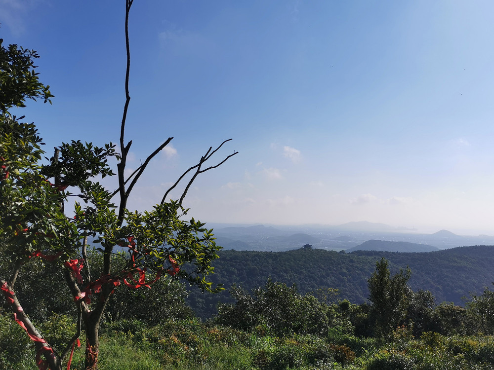 嘉兴2021年初秋:高阳山-鹰窠顶徒步翻越行记