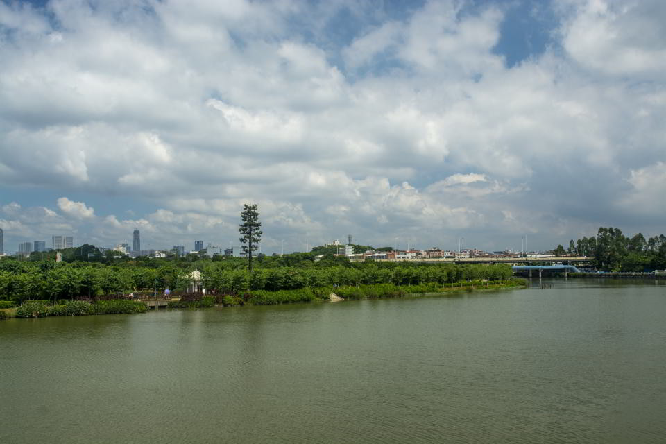 广州海珠区海珠湿地公园空气新鲜景色优美