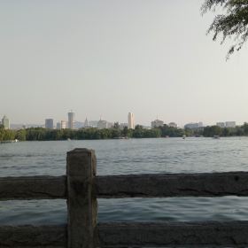 大明湖的夏雨荷_大明湖一年收入多少钱(3)