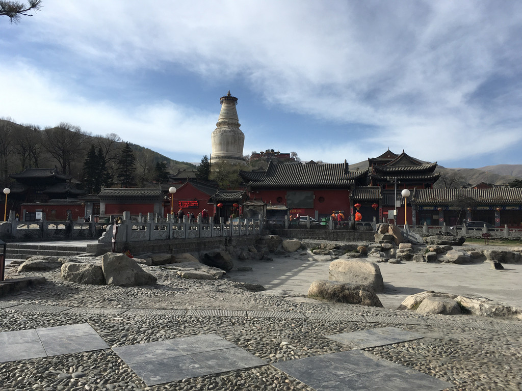 逛完殊像寺就回来了,晚上在一家人很多的餐馆吃了五台山著名的台蘑,还