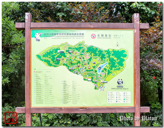 观光车的运行路线:大门口起点-大熊猫太阳产房-大熊猫二号别墅-小