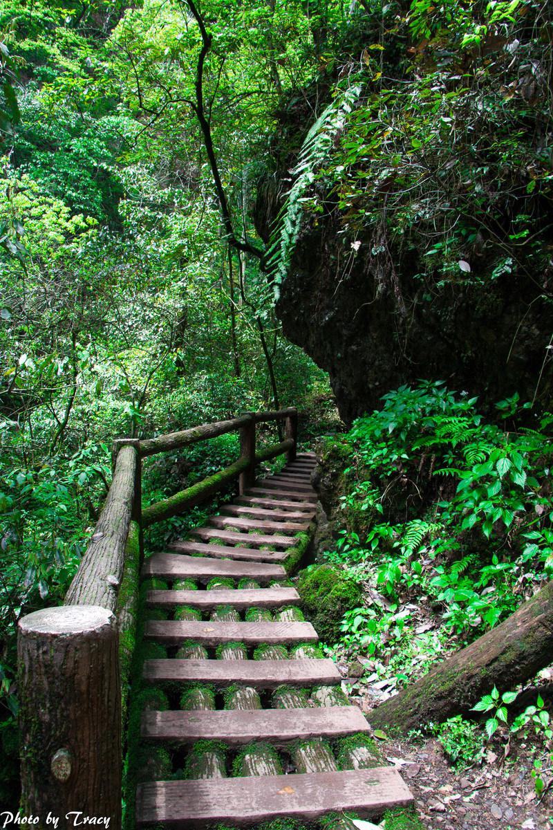 青城后山