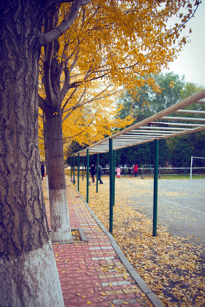 辽宁大学崇山校区
