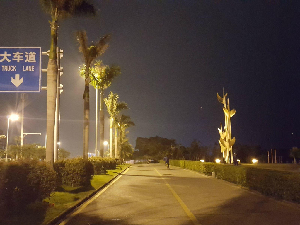        环岛路上有专门的自行车道