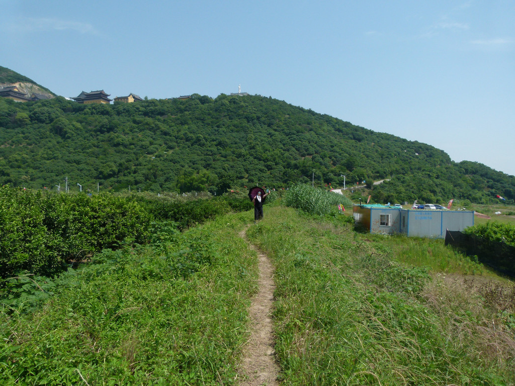 轻游浙江-海宁大尖山枇杷行