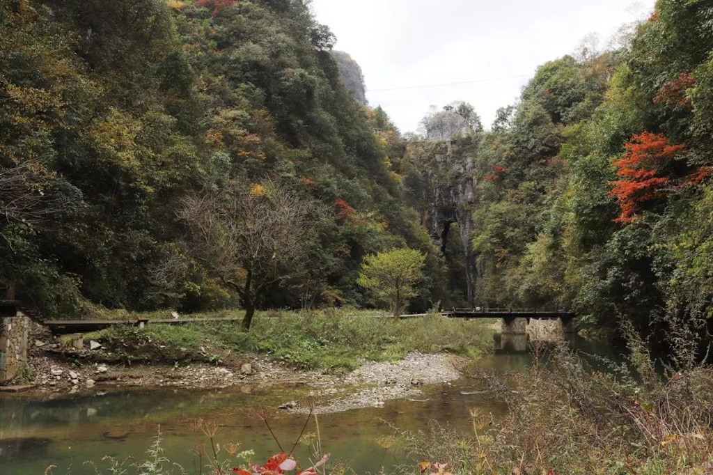 奉节"九寨沟" | 秋游龙桥河 方知人间美