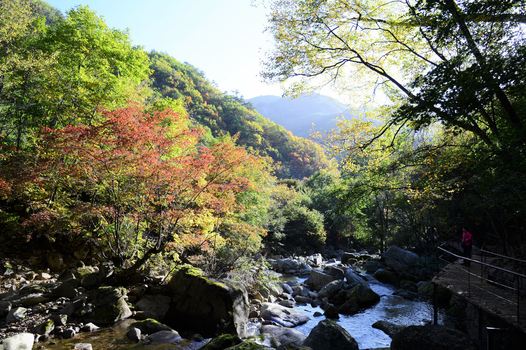 天桥沟栈道景区3