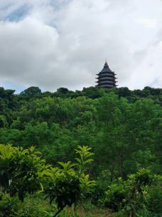 【携程攻略】廉江谢鞋山图片,廉江谢鞋山风景图片,谢鞋山景点图片