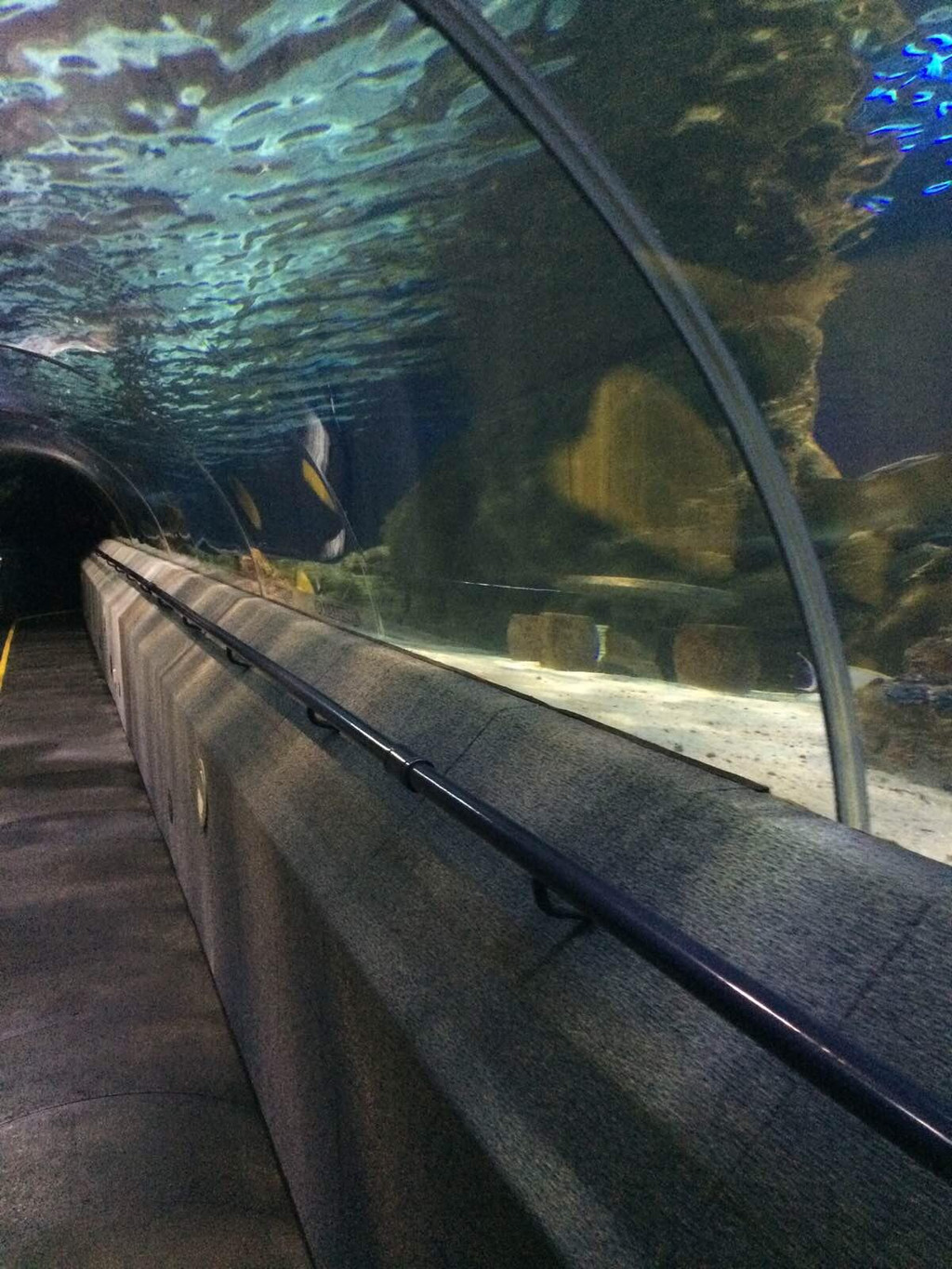                        海底隧道