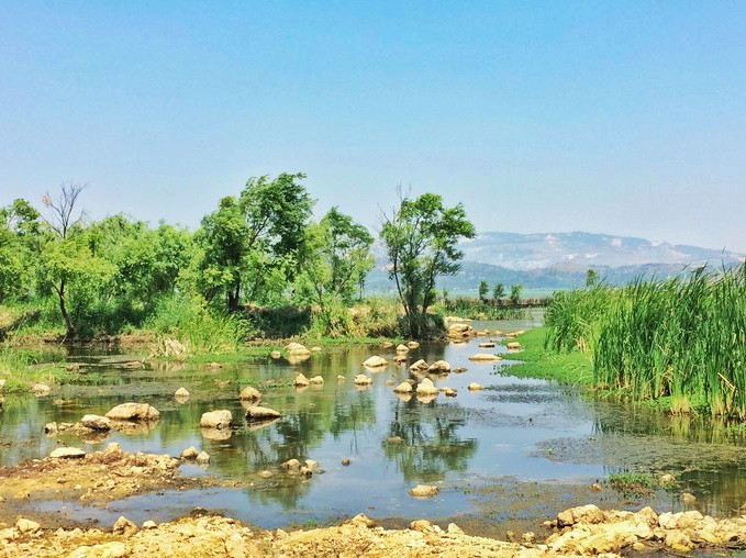 大自然的氧吧,不容错过的美景——昆明大东河湿地公园
