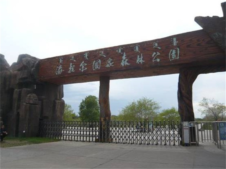 景点3:海拉尔国家森林公园