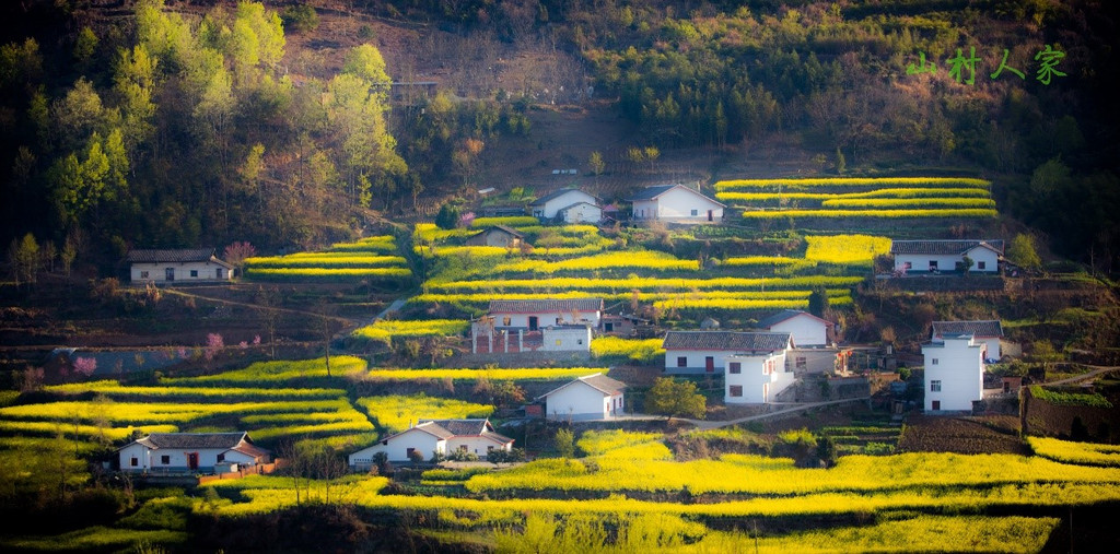 平利县龙头旅游度假村