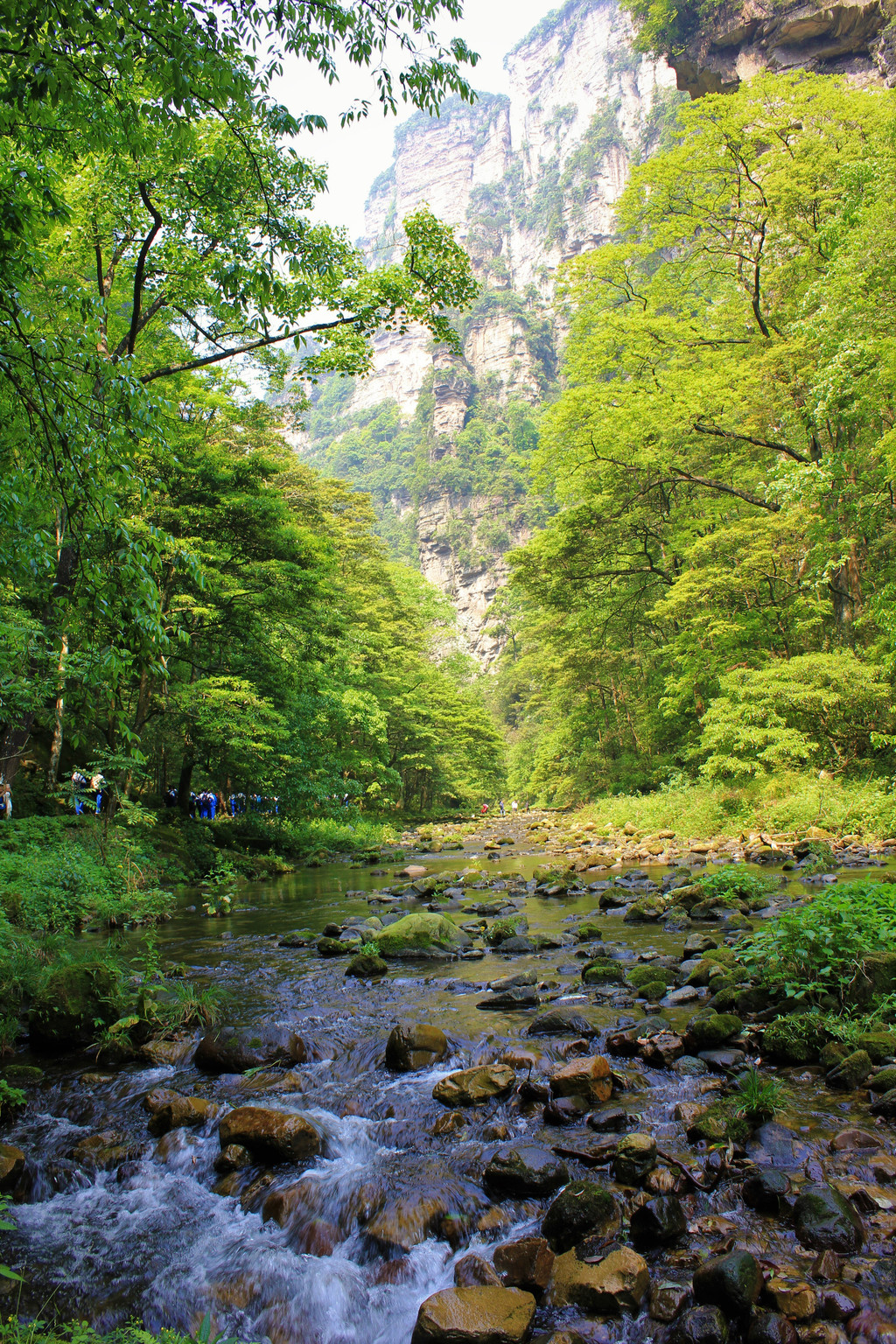金鞭溪大峡谷 携程网