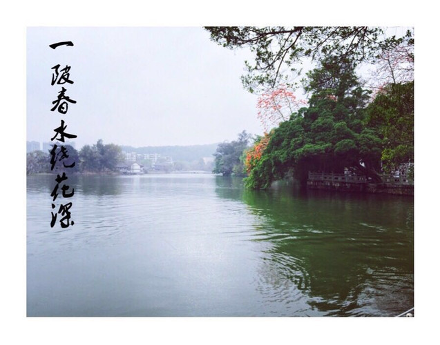 岭南春雨雾朦胧--惠州行