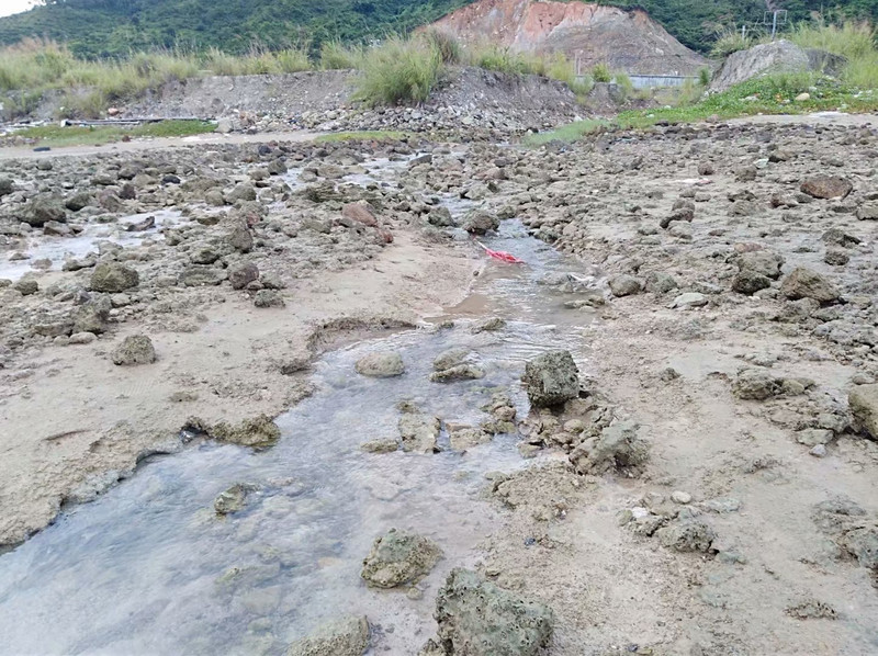 大亚湾黄金海岸游泳和小桂体验赶海