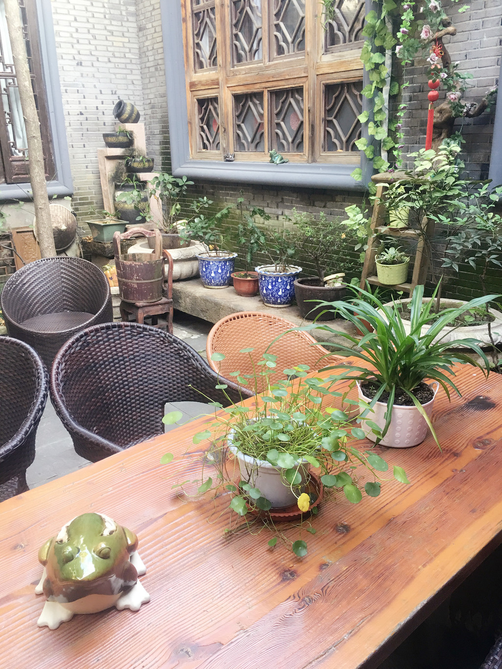 原木长桌,随意的绿植,苏州小院弥漫着慢生活的悠然的调子