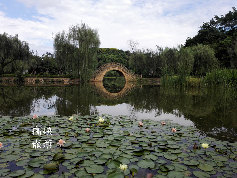 行走在秋天的盐都植物园