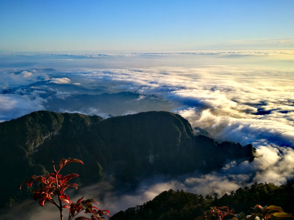 国庆峨眉山的壮观云海
