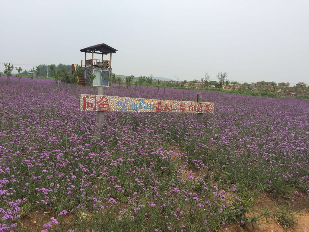 美丽的紫海蓝山.