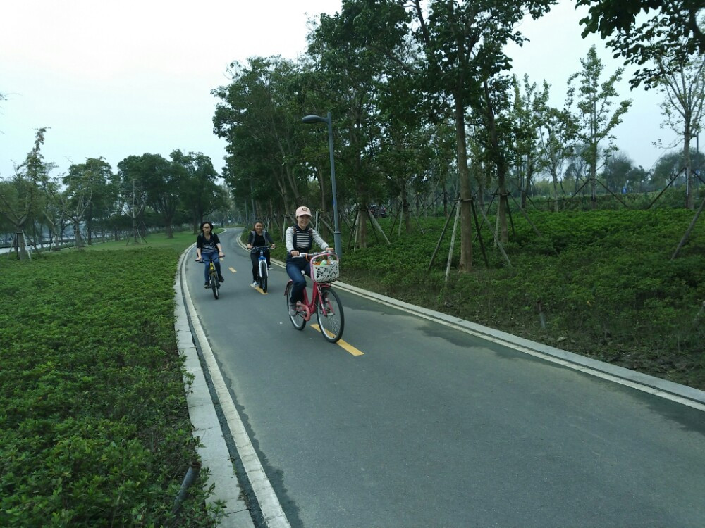 我们又开车来到阳澄湖半岛,这里是骑自行车的乐园,有专门为骑行修建的