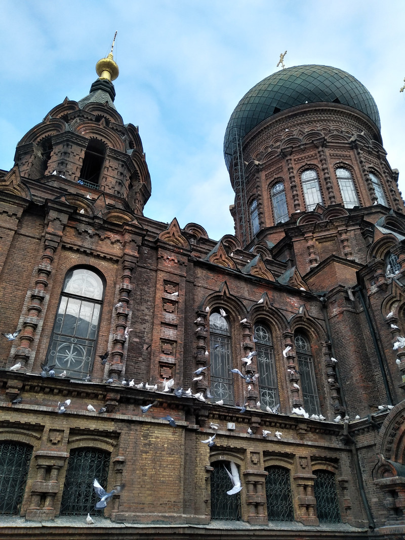 去中央大街数方石索菲亚大教堂赏飞鸽亚布力滑雪逗傻狍子--哈尔滨冰雪