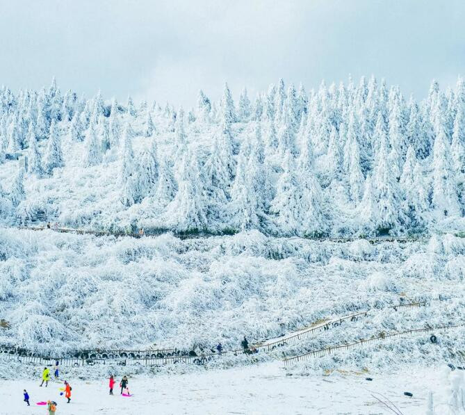 2019仙女山冬季旅游攻略,今冬首秀壮观雾凇宛若人间仙境