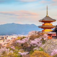 日本大阪+京都+奈良6日5晚私家团 日本大阪+京都+奈良6日5晚私家团