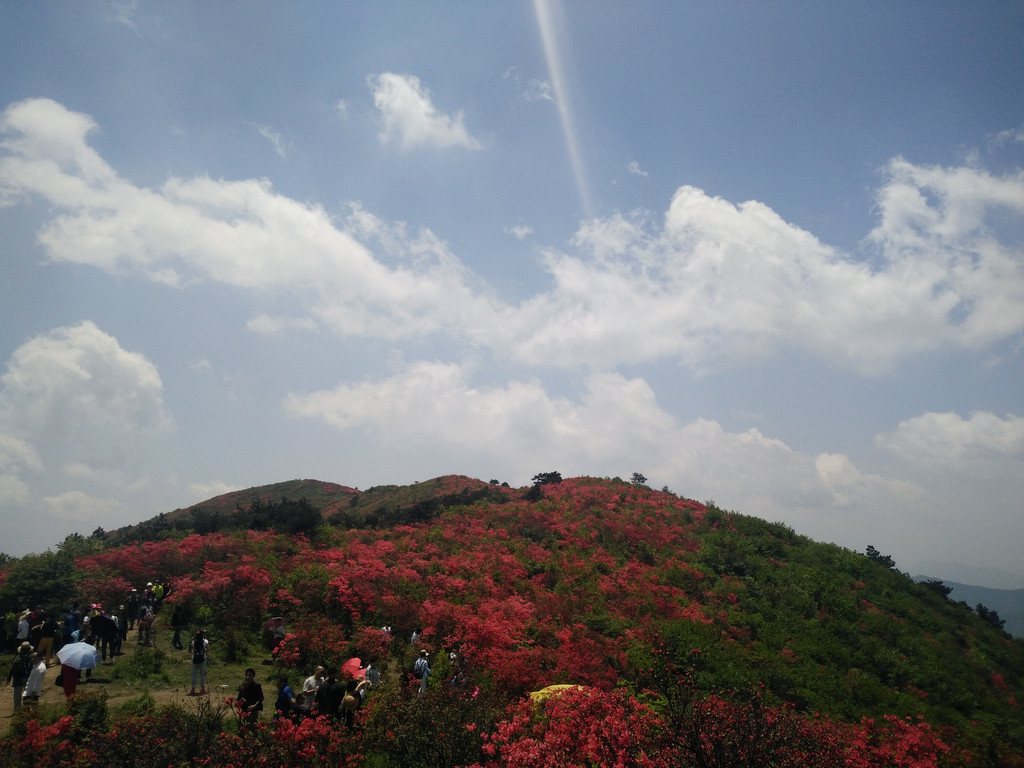 穿越十里花海——浙江衢州绿春湖自由行一日游记