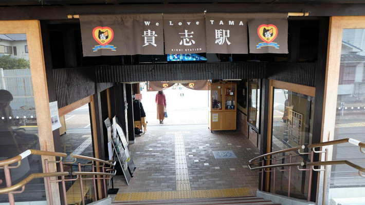 在jr站门口可以坐免费接驳巴士到各
