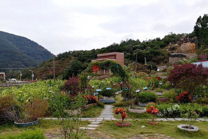 海拔480米的厦门翔安锄山村,有香草园,寺庙,还有名人墓