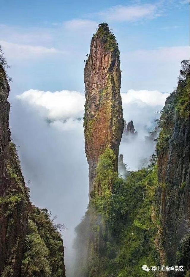 宜章莽山·五指峰景区攻略,宜章莽山·五指峰景区门票