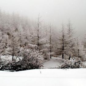 雪宝山国家森林公园