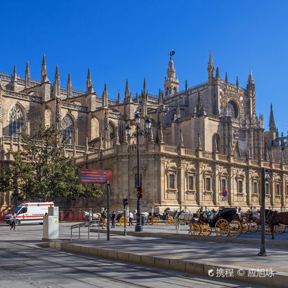 西班牙塞维利亚大教堂+吉拉尔达塔半日游