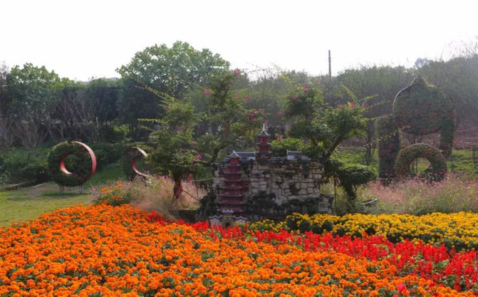 先来一段景区科普:凤凰花海位于沙坪坝区凤凰镇胡南坝村,杨家庙村