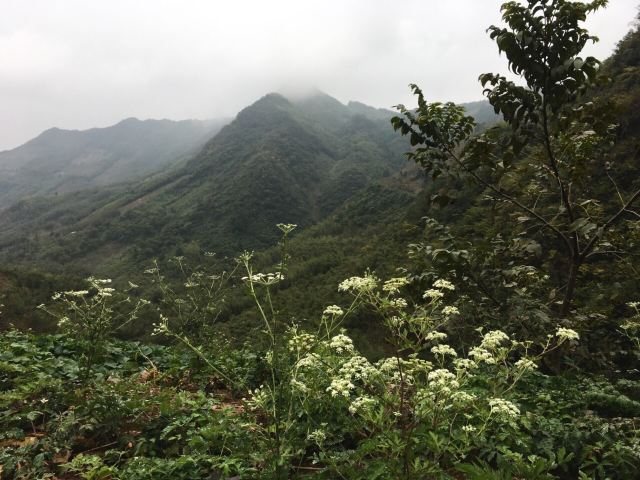 西天目清凉山庄