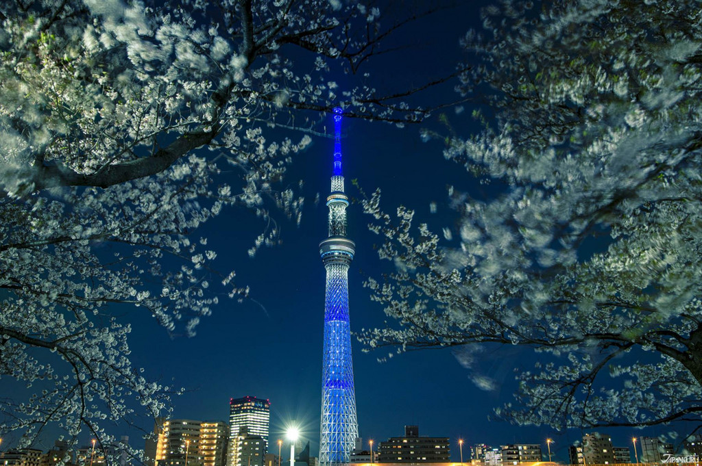 当樱花遇见东京晴空塔 东京春天旅游赏樱必访景点