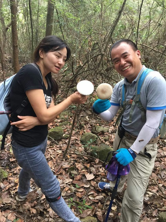 山里的菌菇可真不少