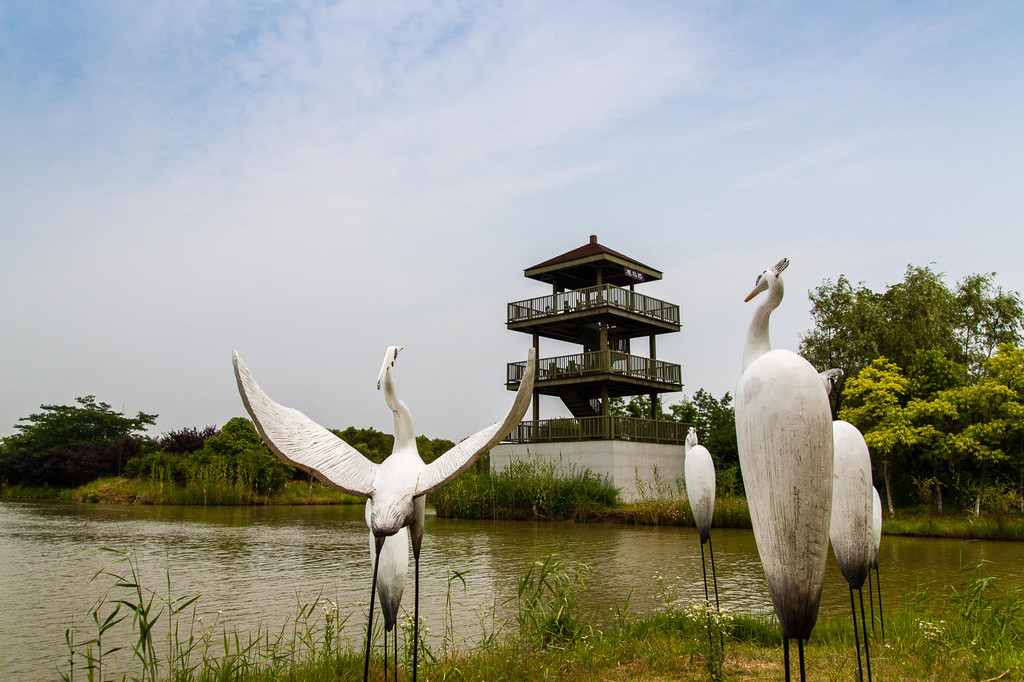 苏州太湖湿地公园