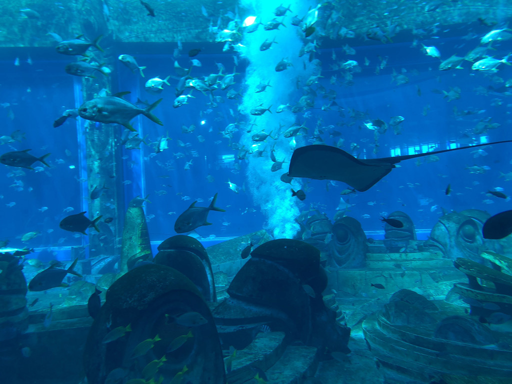 亚特兰蒂斯失落的空间水族馆