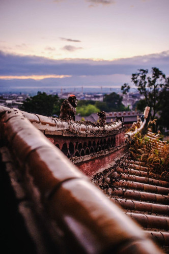 丽江旅游景点_丽江2017旅游收入
