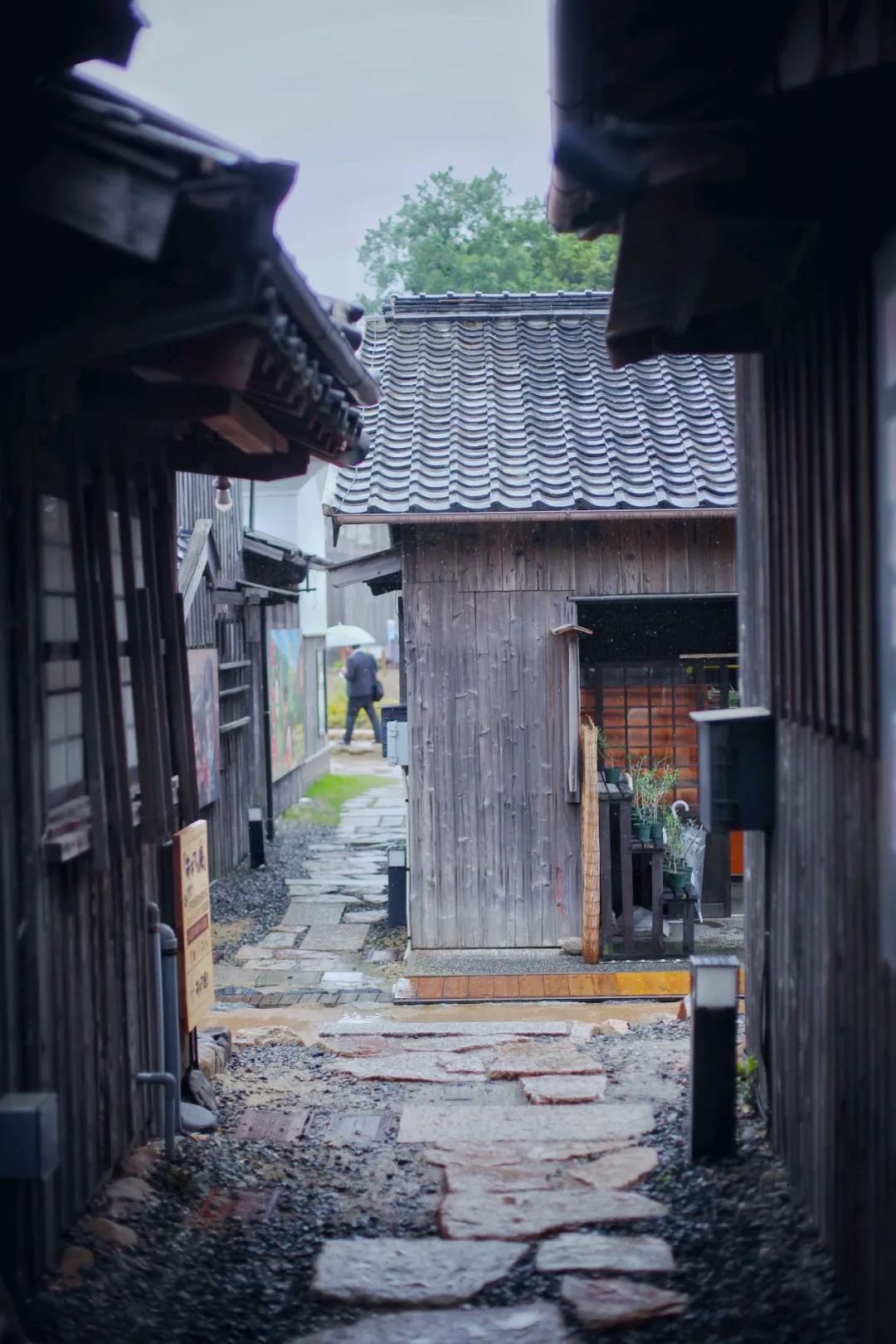 五天四晚,香川,安静美好的小众目的地,治愈你的忧伤