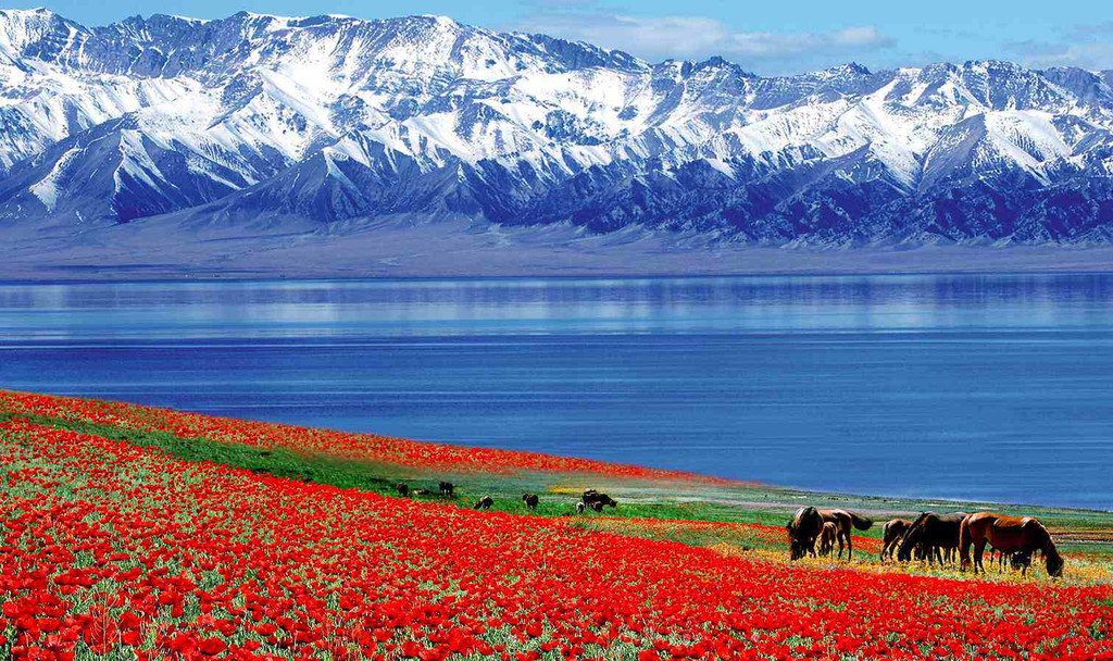 【旅游景点推荐】新疆最美的10个湖泊(上)