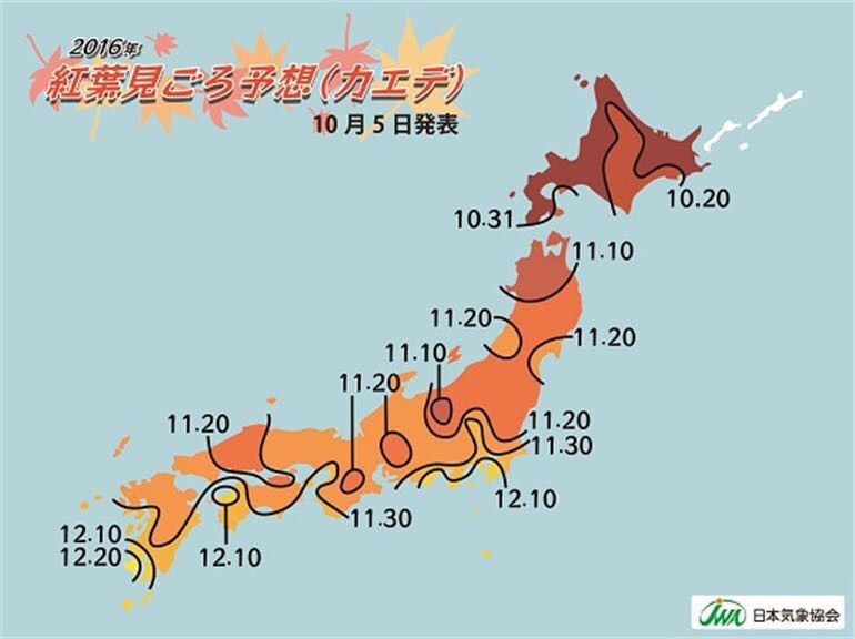 日本关西6日红叶之旅,岚山,大阪,京都,奈良的美秋