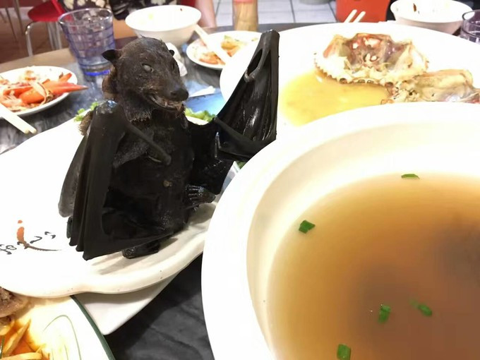 哈哈,上面说到的硬菜登场啦,帕劳名菜,水果蝙蝠汤,脑补下口感吧.