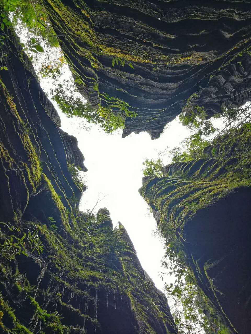 ʩ뾰
