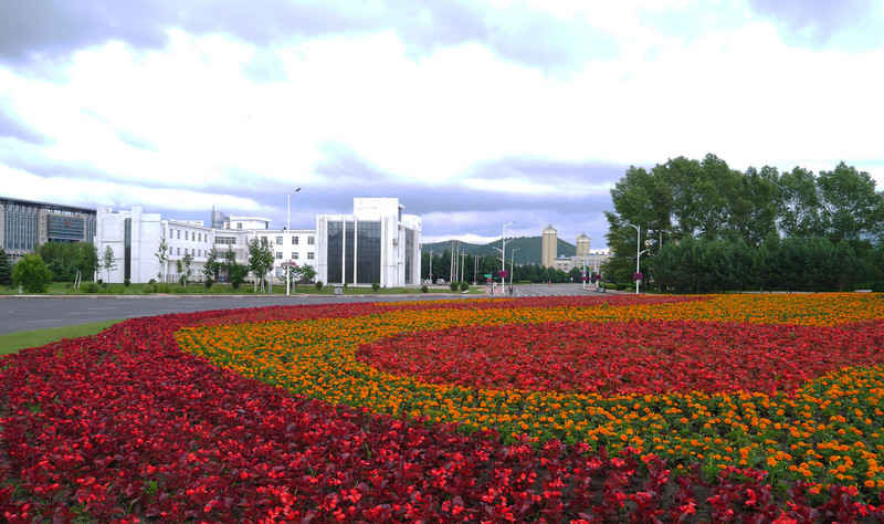 伊春街景.