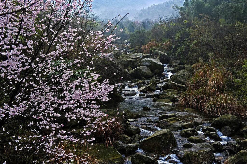 福寿山森林公园