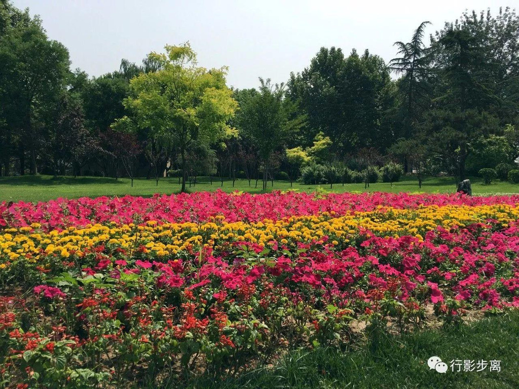 石家庄最美公园,拥有河北首条免费智能健身步道,停车却是最为尴尬