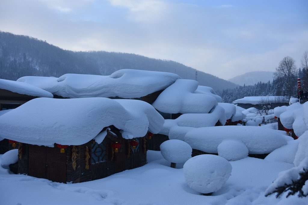 与冰雪的第一次亲密接触-哈尔滨 雪谷 雪乡 雾凇岛7日游(20180114